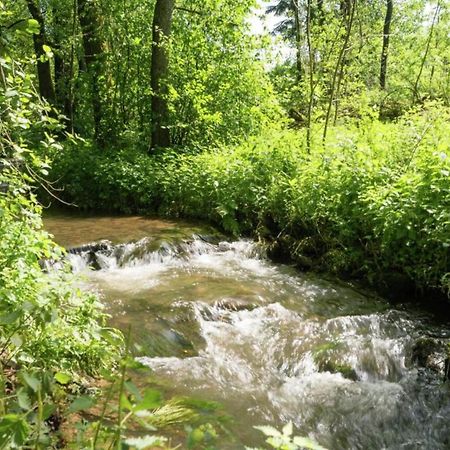 Charming Holiday Home In Malmedy With Sauna Екстер'єр фото