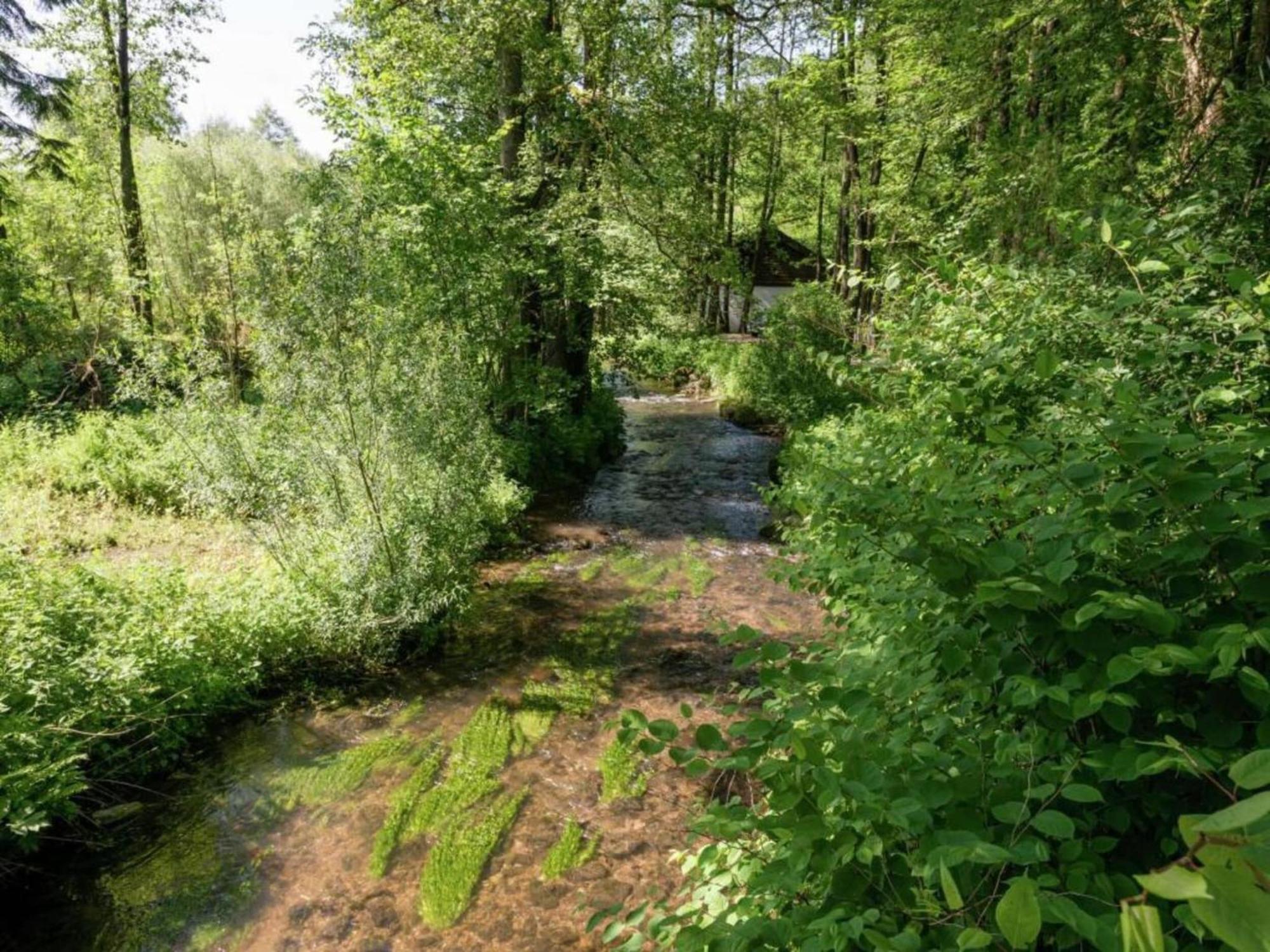 Charming Holiday Home In Malmedy With Sauna Екстер'єр фото